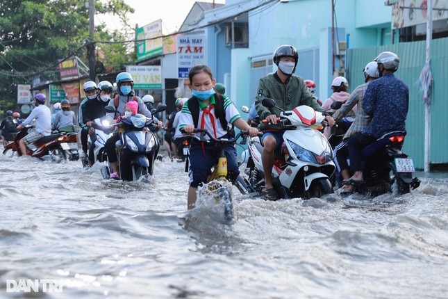 high tides cause disorder to daily lives of hcm city residents picture 4