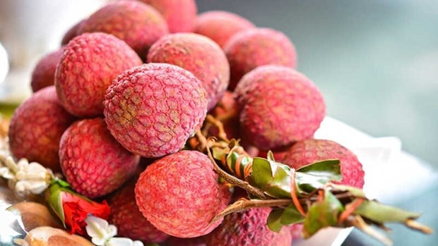 vietnamese fruits hold lion s share in australian market picture 1