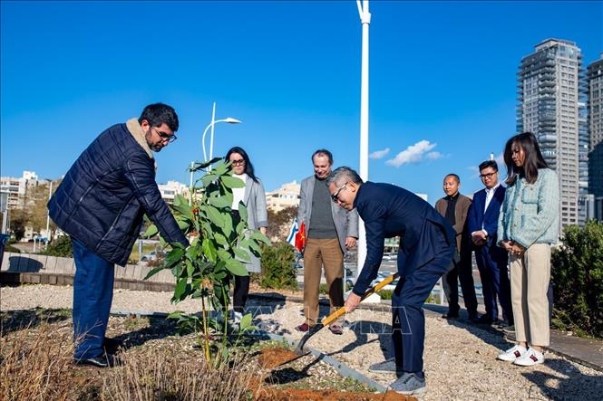 tree planting marks 30 years of vietnam israel diplomacy picture 1