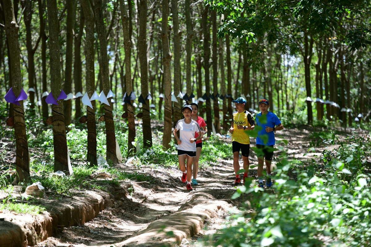 khoi dong giai chay marathon vi an toan giao thong - sa thay 2023 hinh anh 2