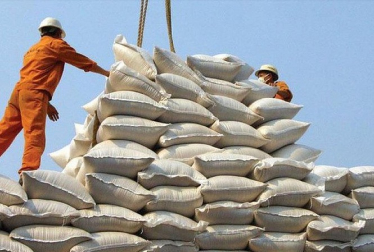 quang tri exports first batch of organic rice to eu market picture 1