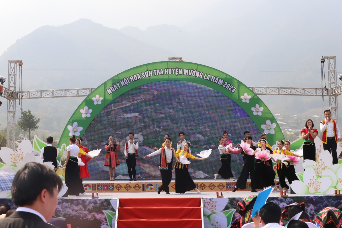 Ấn tượng ngày hội Hoa sơn tra