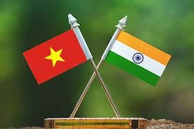 vietnam attends 28th partnership summit in india picture 1