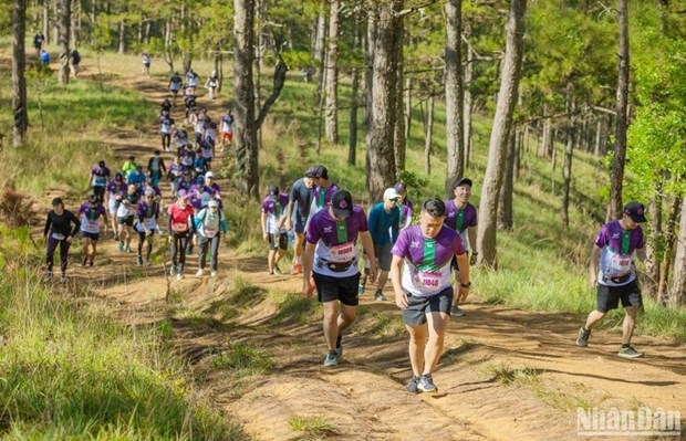 7,000 runners to join dalat ultra trail 2023 picture 1