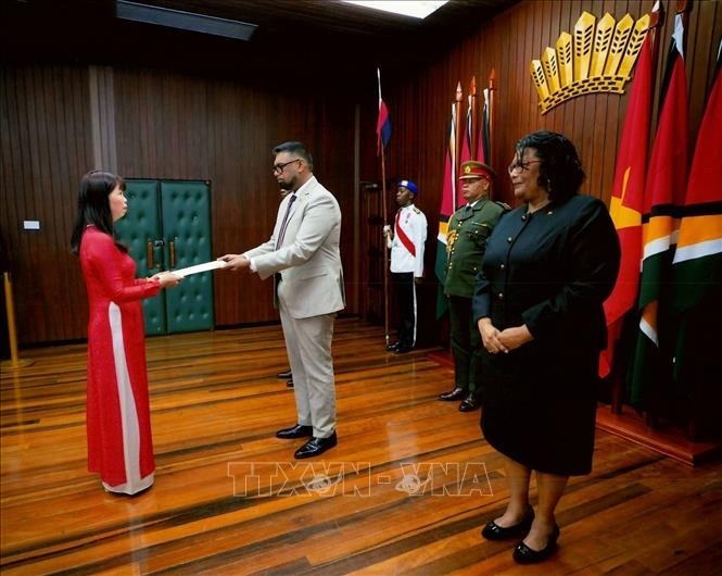guyana wishes to foster cooperation with vietnam picture 1