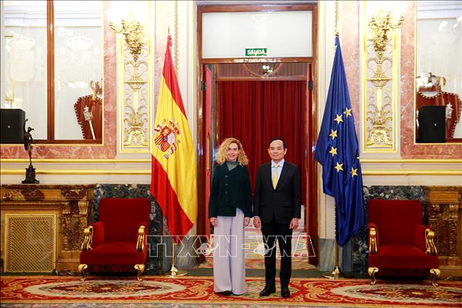deputy pm tran luu quang begins official visit to spain picture 1