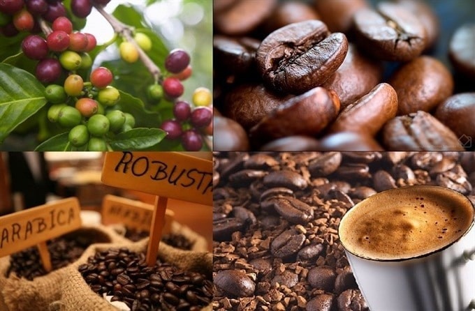 vietnam remains largest supplier of coffee to spanish market picture 1