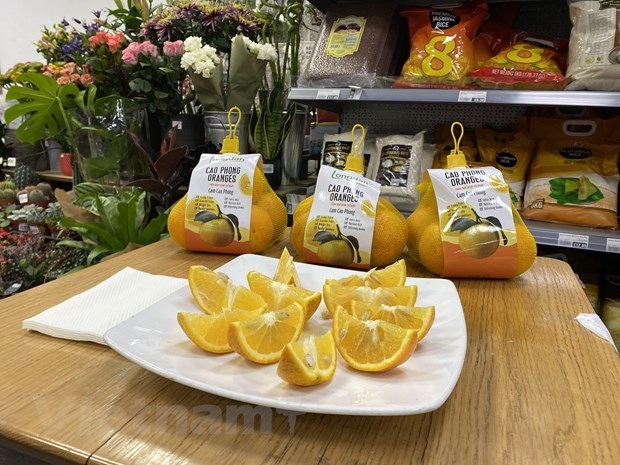 vietnamese oranges hit the shelves of uk market picture 1