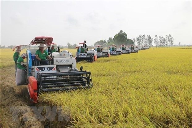 workshop talks cooperation in agriculture adaptive to climate change picture 1