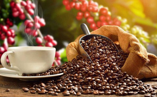 vietnam is largest coffee supplier to spain picture 1
