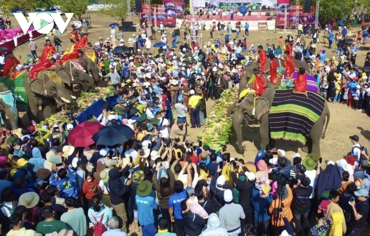 impressive images recorded at eighth buon ma thuot coffee festival picture 7