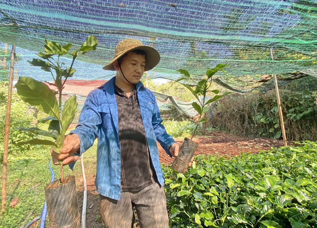 Nhiều đảng viên đi đầu, làm kinh tế giỏi