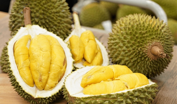 china approves 246 vietnamese durian growing area codes picture 1