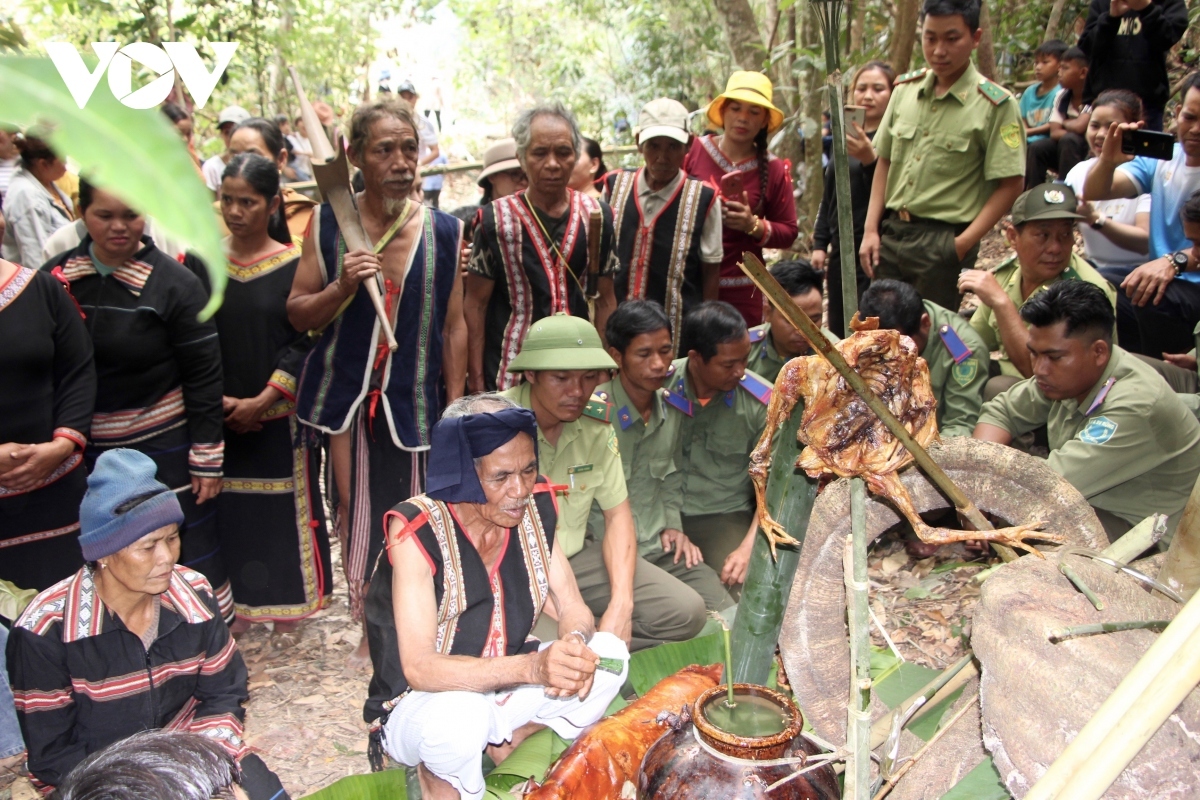 forest god worship of jrai ethnic people in gia lai picture 5