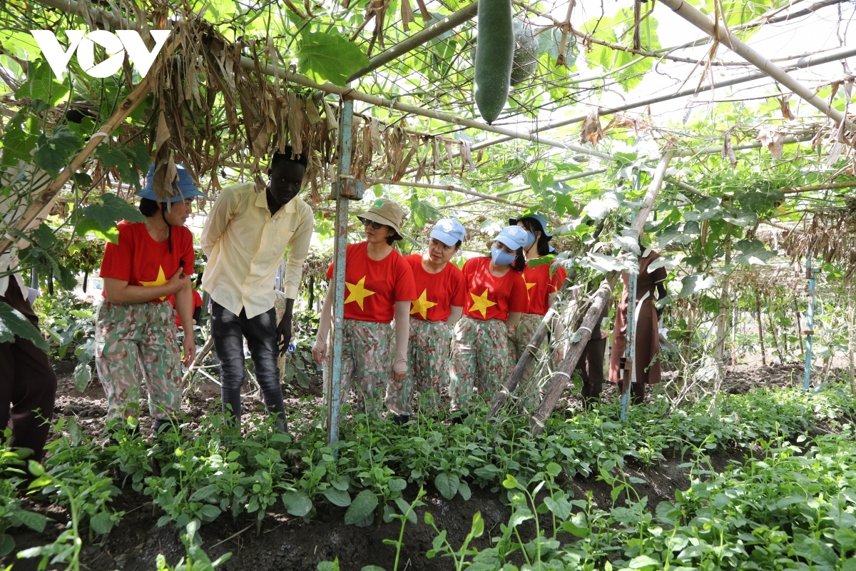 vietnamese women contribute to national development, global peace picture 1