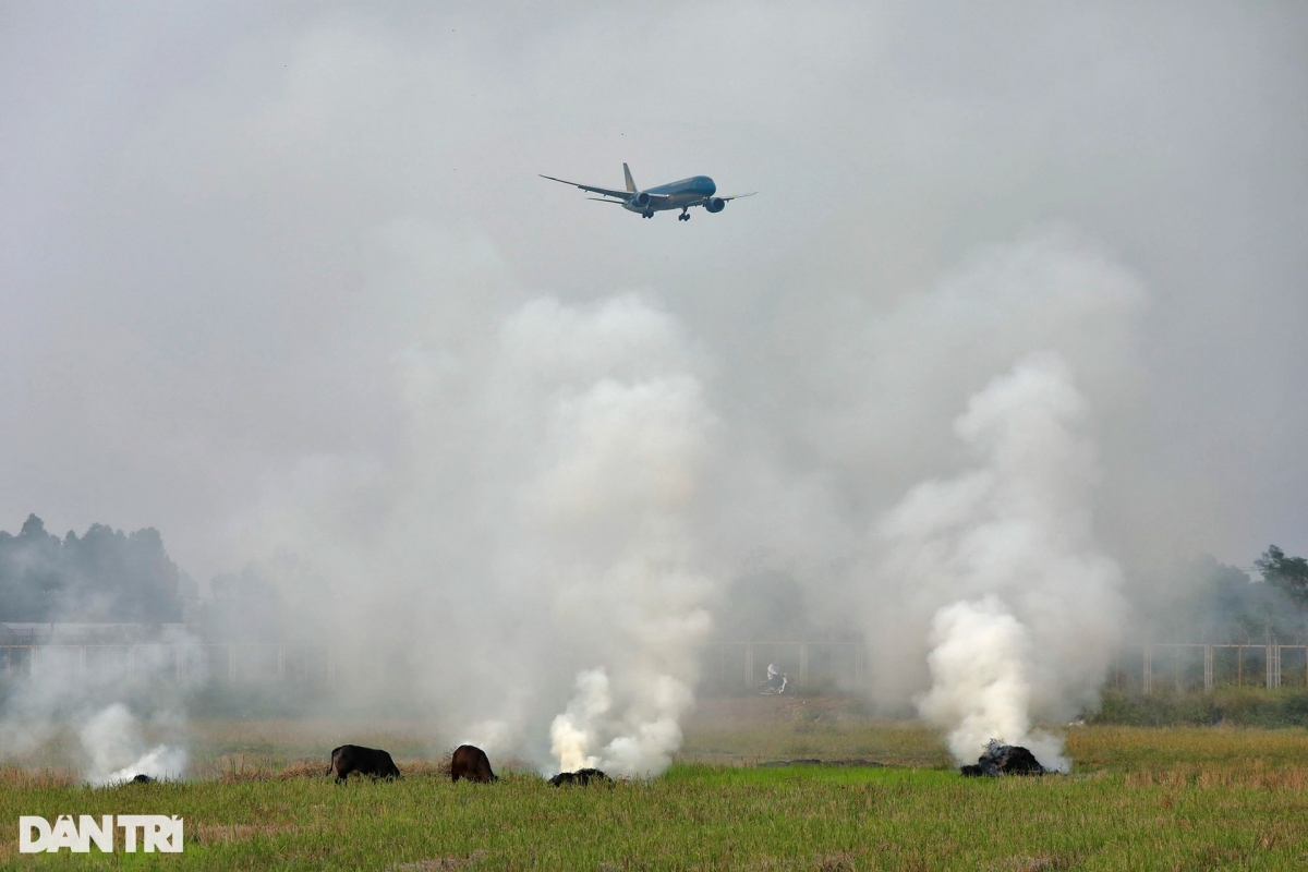 many domestic flights cancelled due to smoke from straw burning picture 1