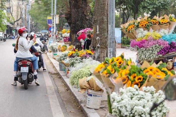 fresh flower prices rise ahead of international women s day picture 10
