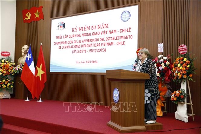 meeting marks 52 years of vietnam chile diplomatic ties picture 2