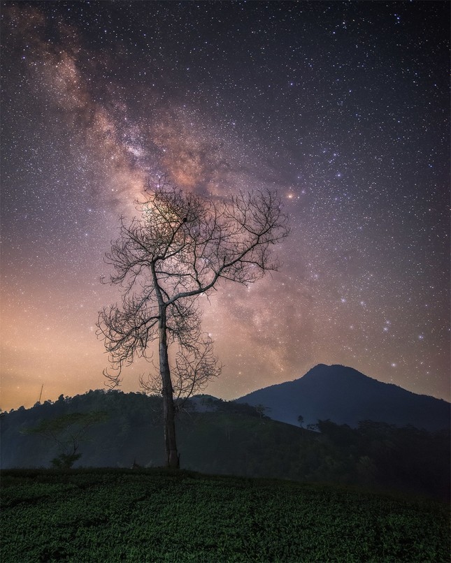 top places in vietnam to hunt for galaxy picture 10