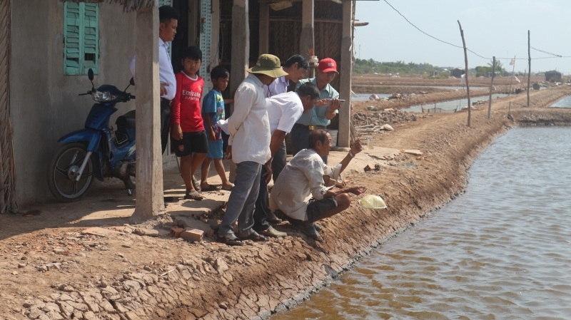 Sản xuất artemia ngày càng gặp khó