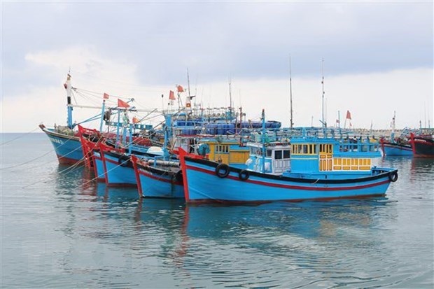 south-central coastal provinces work hard to combat illegal fishing picture 1