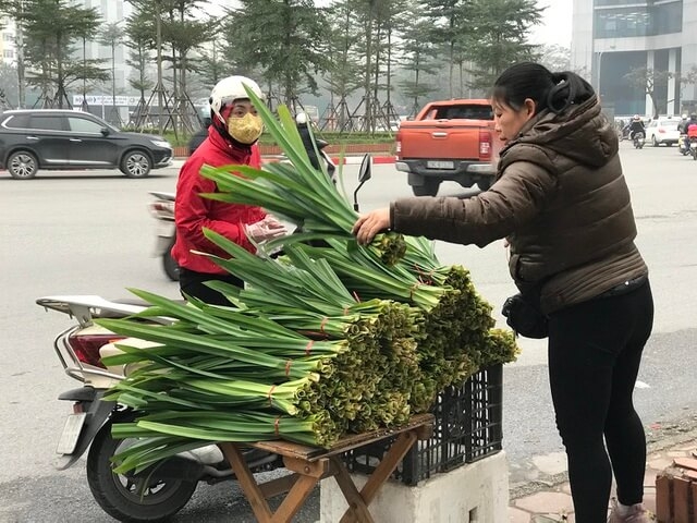 Cây dại xưa nhổ bỏ đi nay thành cây “hái ra tiền”