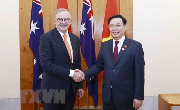 vietnam, australia enjoy fruitful strategic partnership expert picture 1