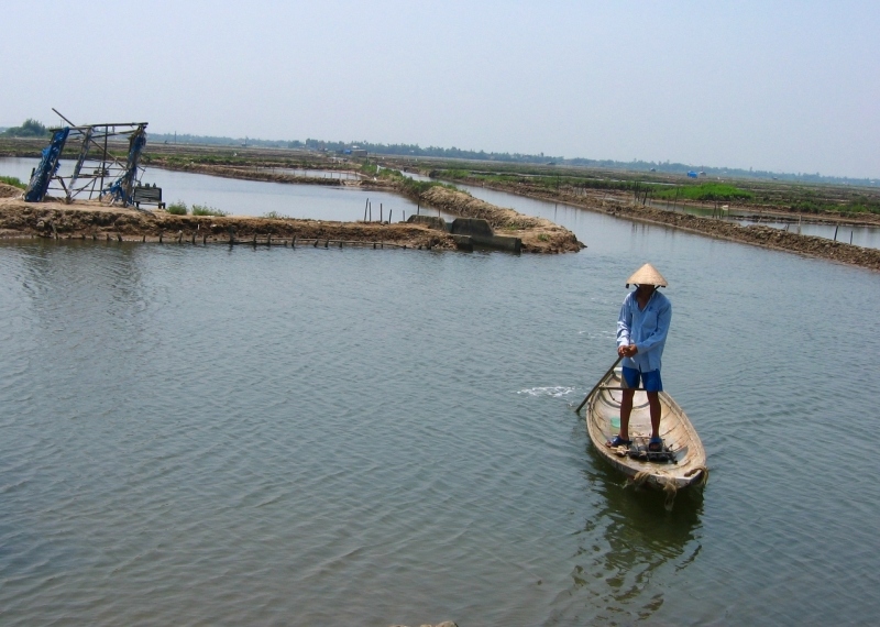 Phát triển hệ đầm phá Tam Giang - Cầu Hai trở thành “Công viên đầm phá"