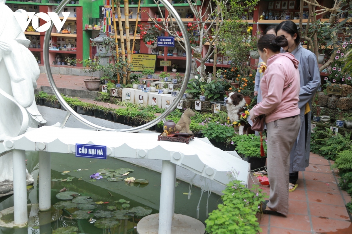 unique cemetery in hanoi for thousands of pets picture 8