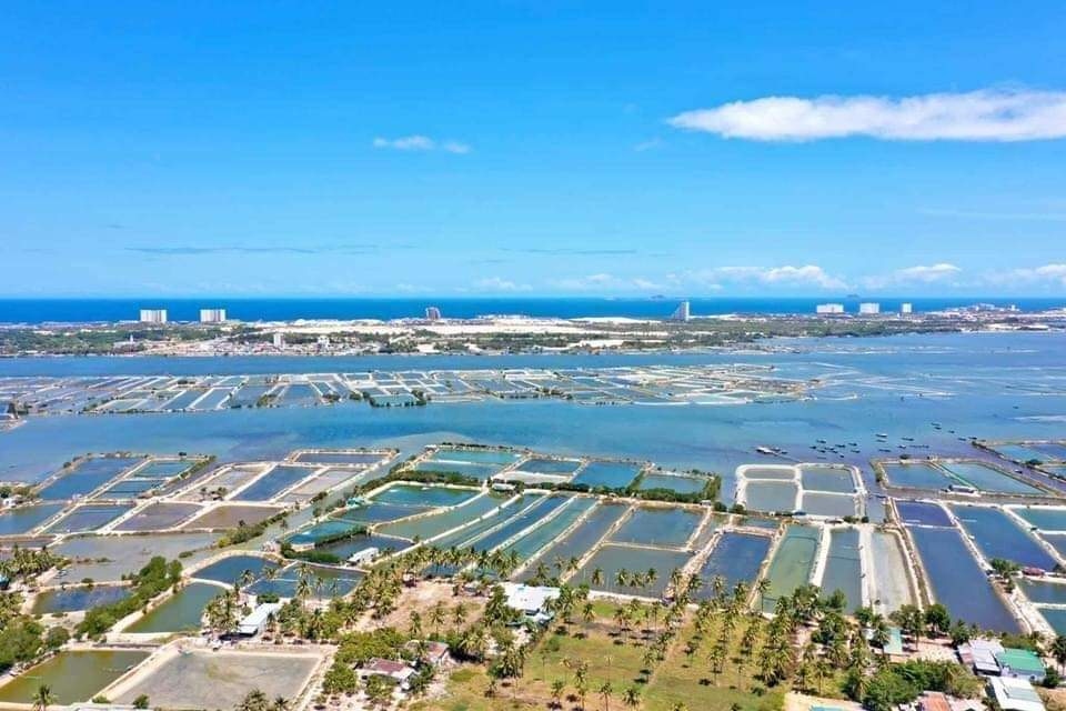 khong nen ghi day du cac thanh vien ho gia dinh khi sang nhuong dat dai hinh anh 6
