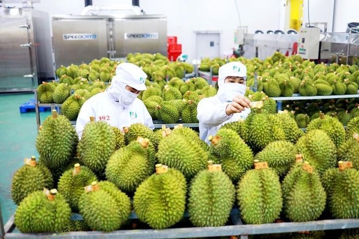 durian exports likely to reach us 1 billion this year picture 1