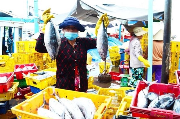tuna exporters aiming for smaller markets picture 1