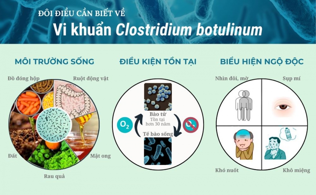 Vì sao thực phẩm nhiễm chất kịch độc Botulinum?