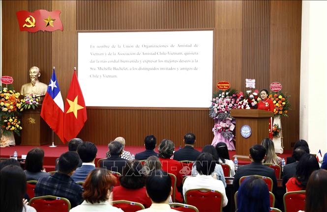 meeting marks 52 years of vietnam chile diplomatic ties picture 1