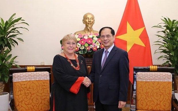 vietnam always values relations with chile fm picture 1