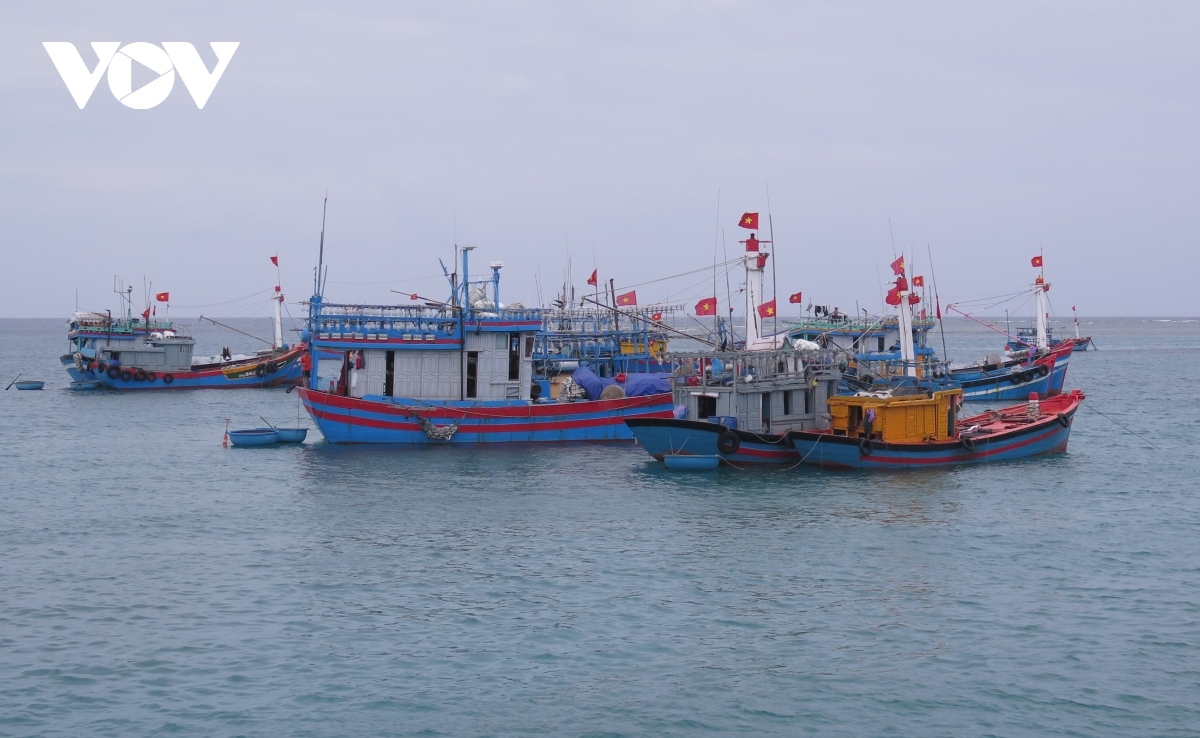 vietnam fisheries society opposes china s fishing ban in east sea picture 1