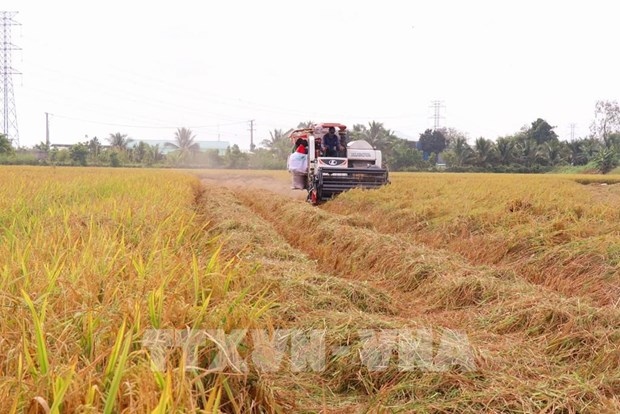 hanoi to host global conference on sustainable food systems picture 1