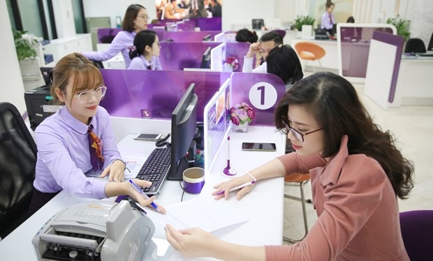 vietnamese banks draw foreign capital picture 1