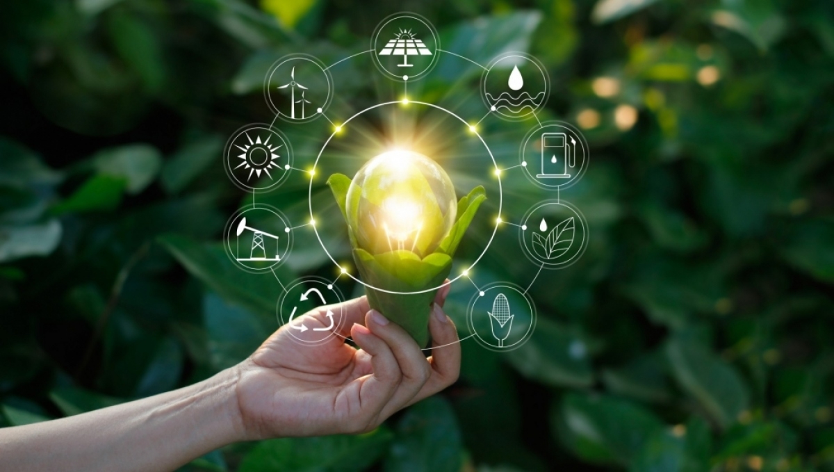 Firms invest around US$9 billion into green growth projects in Vietnam