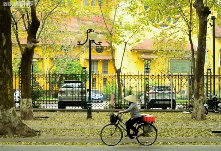 ngam con duong lang man nhat ha noi ruc vang mua sau thay la hinh anh 3