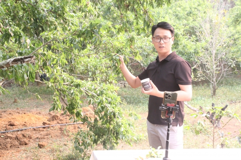 Vào vụ hoa quả, nông dân Sơn La nhộn nhịp tiếp cận kinh doanh trên nền tảng số