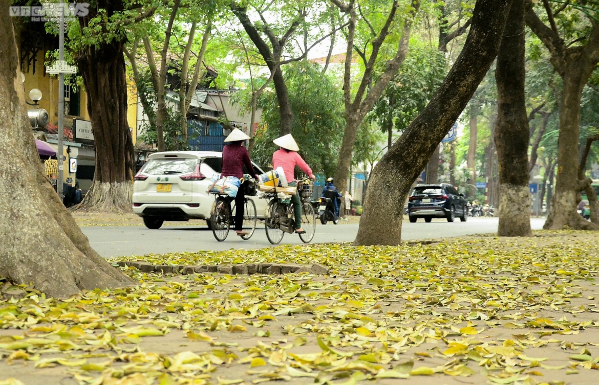 ngam con duong lang man nhat ha noi ruc vang mua sau thay la hinh anh 4