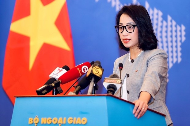 deputy spokeswoman affirms vietnam s determination in illegal migration fight picture 1