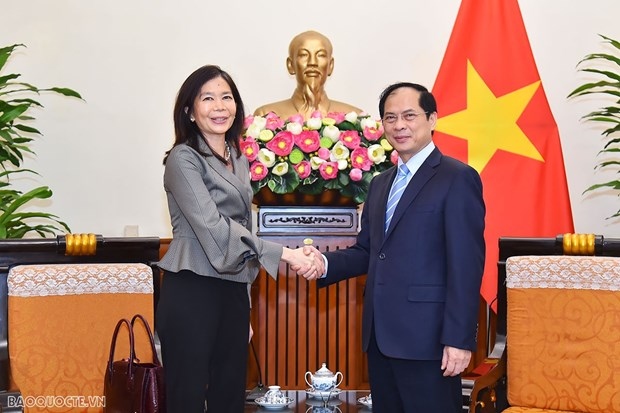 vietnam calls for un organisations cooperation in priortised areas fm picture 1