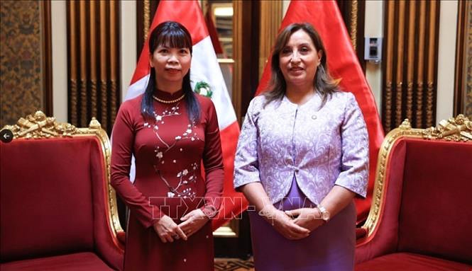 president dina boluarte hails peru - vietnam relations picture 1
