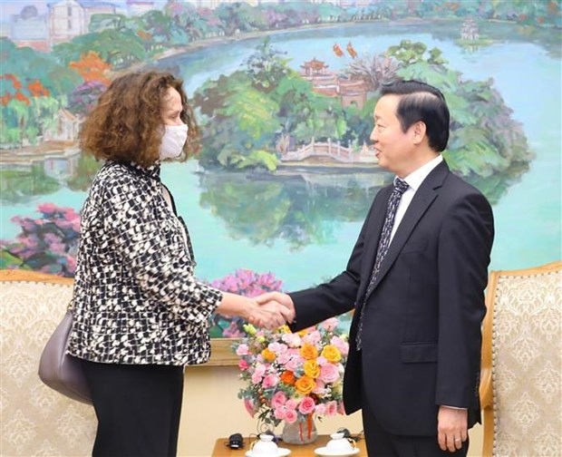 deputy pm hosts wb country director for vietnam picture 1