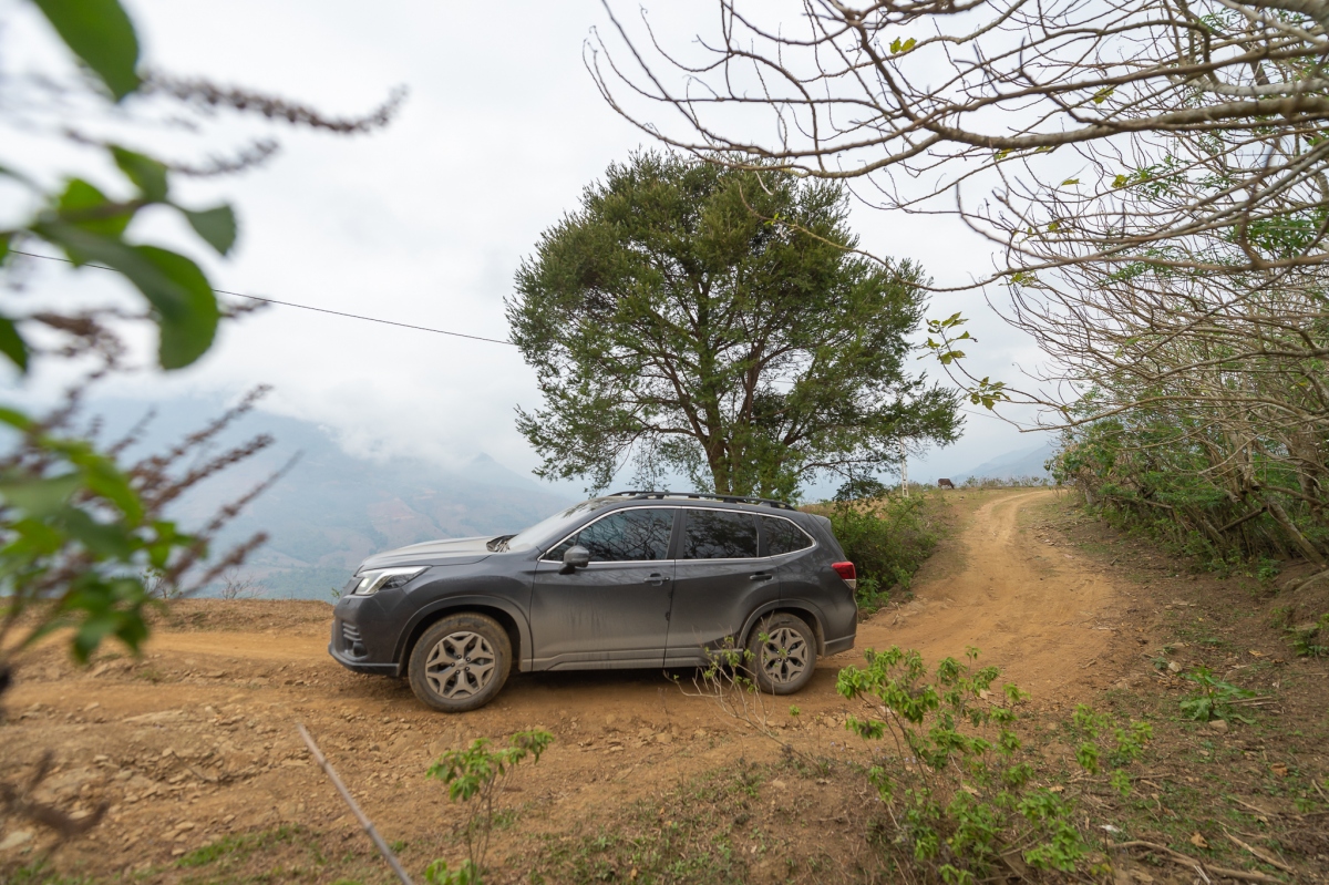 subaru forester 2023 nang cap nho, tang trai nghiem lai hinh anh 4