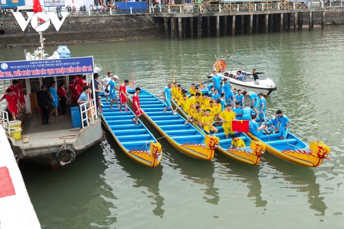 dragon boat racing on cat ba island excites crowds picture 2