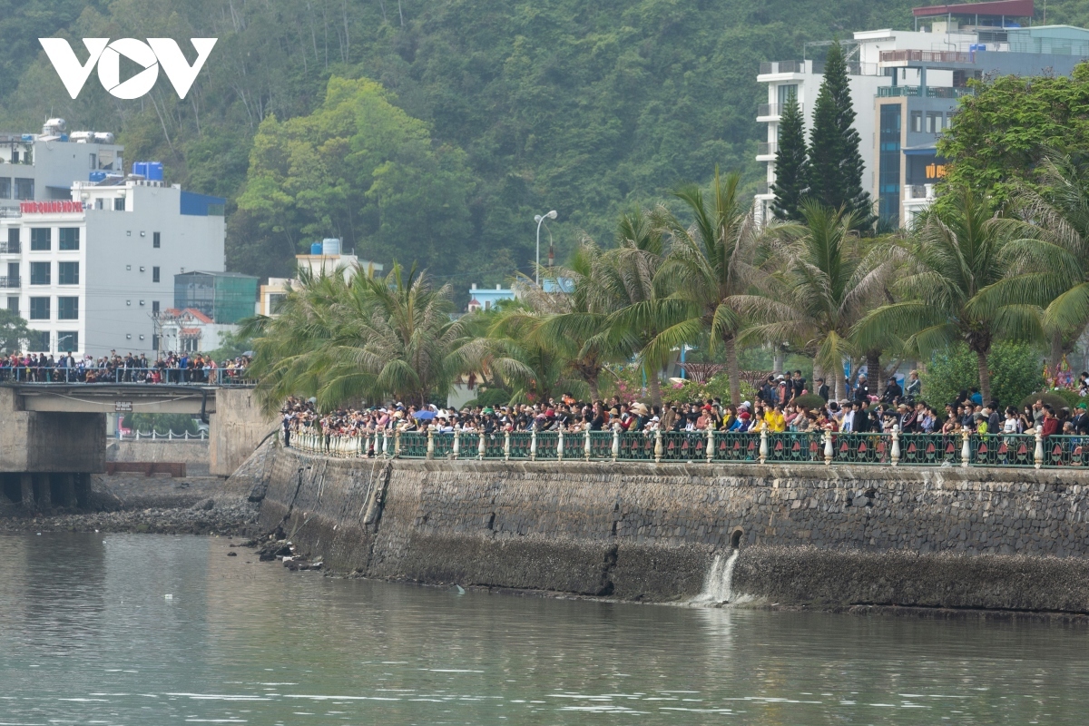 dragon boat racing on cat ba island excites crowds picture 4