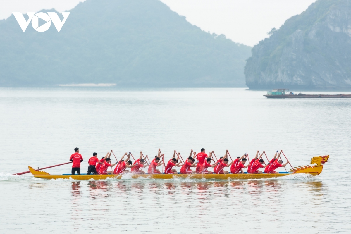 dragon boat racing on cat ba island excites crowds picture 8